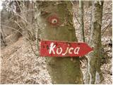 Reka - Kojca